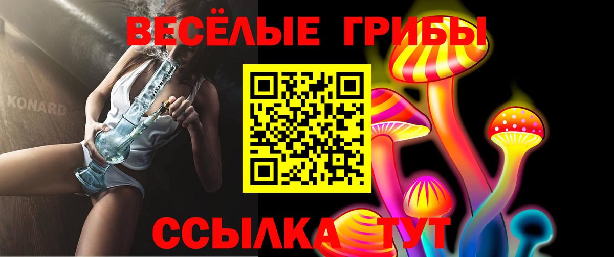 Галлюциногенные грибы Psilocybe Вичуга